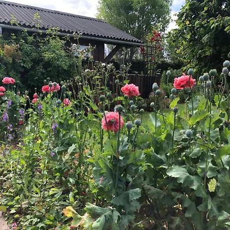 2 Private Tiny Houses On Beautiful Nature Plot, Private Parking *