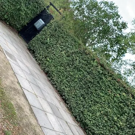 別荘 2 Private Tiny Houses On Beautiful Nature Plot, Private Parking *